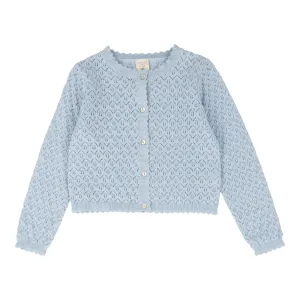 ANALOGIE BY LIL LEGS LIGHT BLUE KNIT POINTELLE CARDIGAN