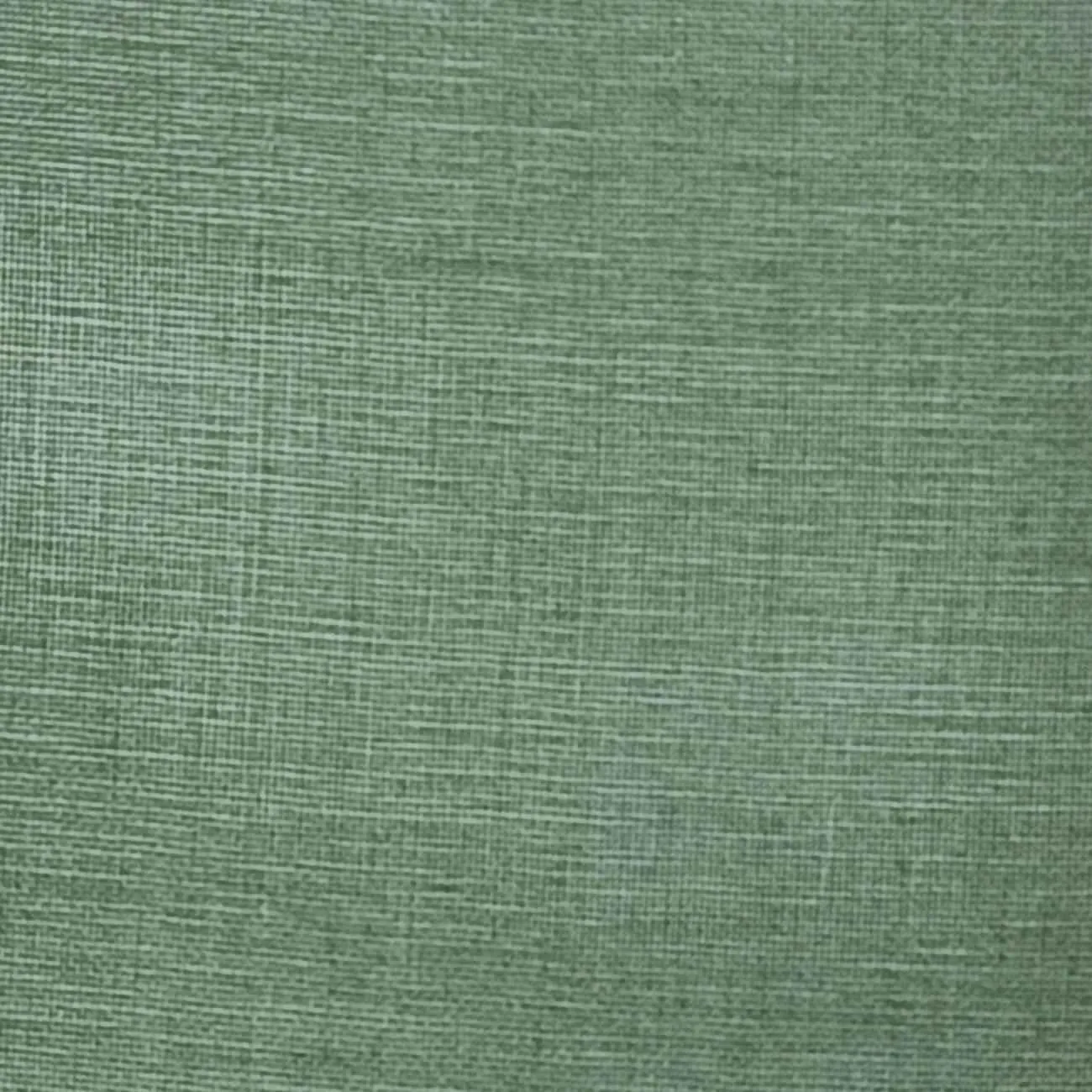 Silk Organza Woven - FAB1362