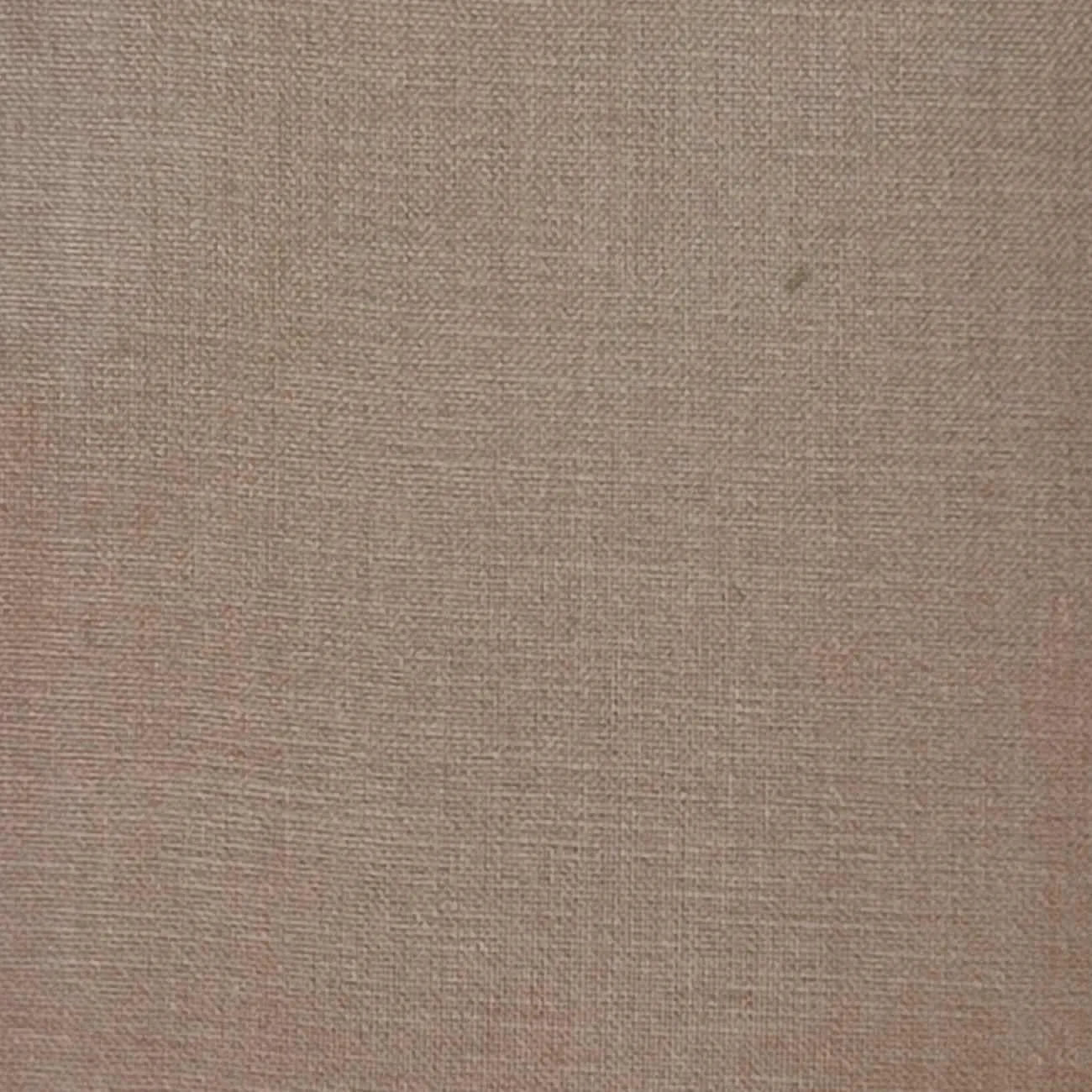 Silk Organza Woven - FAB1362
