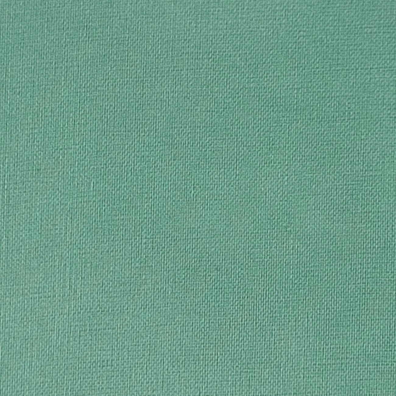 Silk Organza Woven - FAB1362