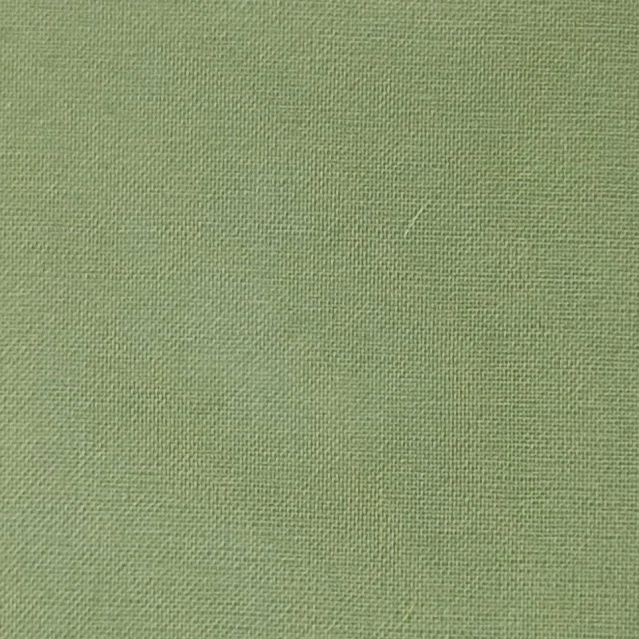 Silk Organza Woven - FAB1362
