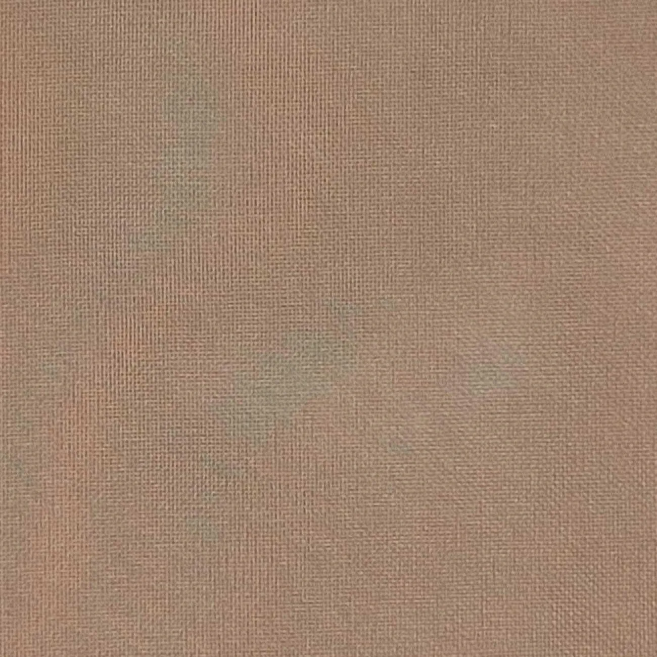 Silk Organza Woven - FAB1362