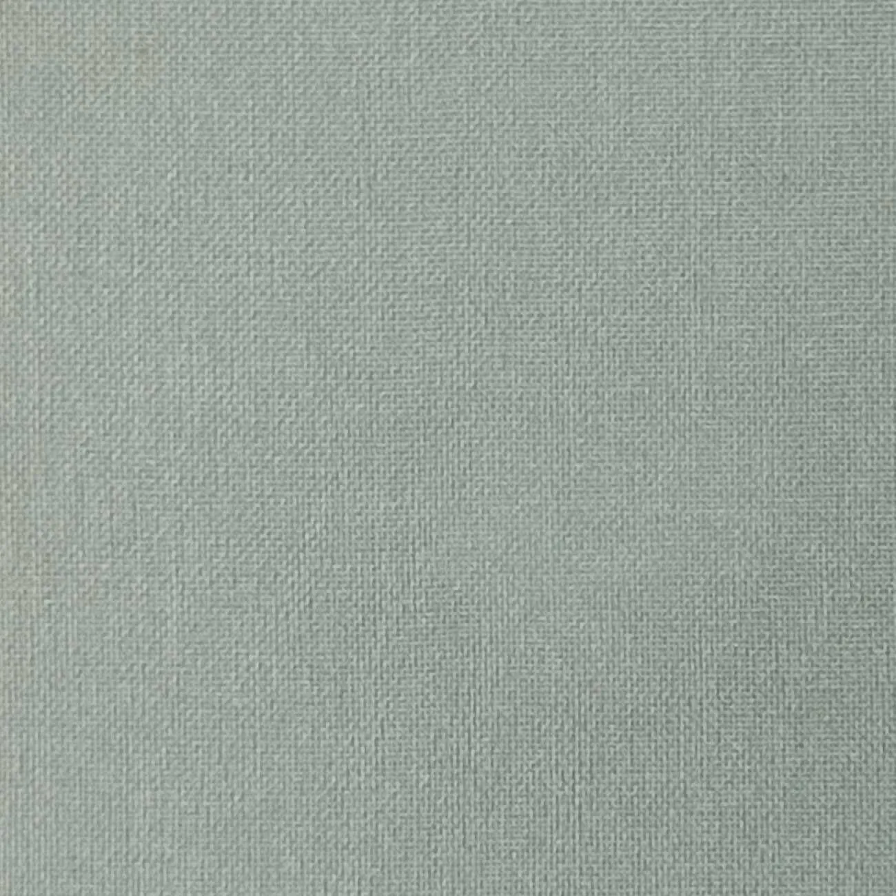 Silk Organza Woven - FAB1362