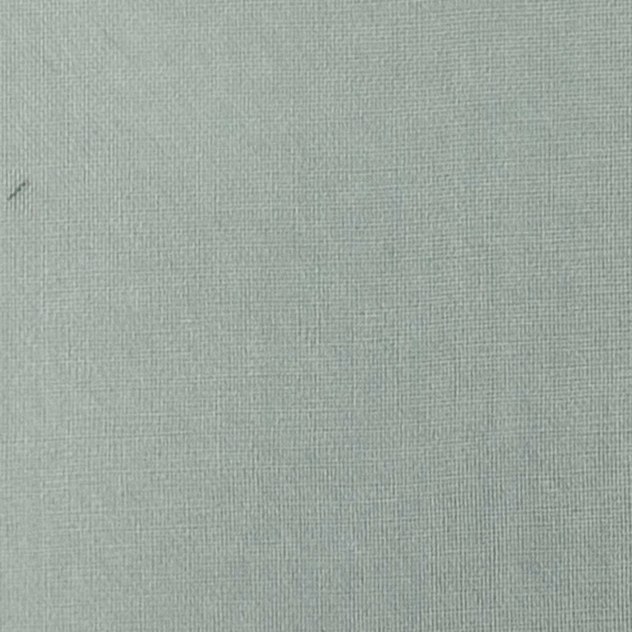 Silk Organza Woven - FAB1362