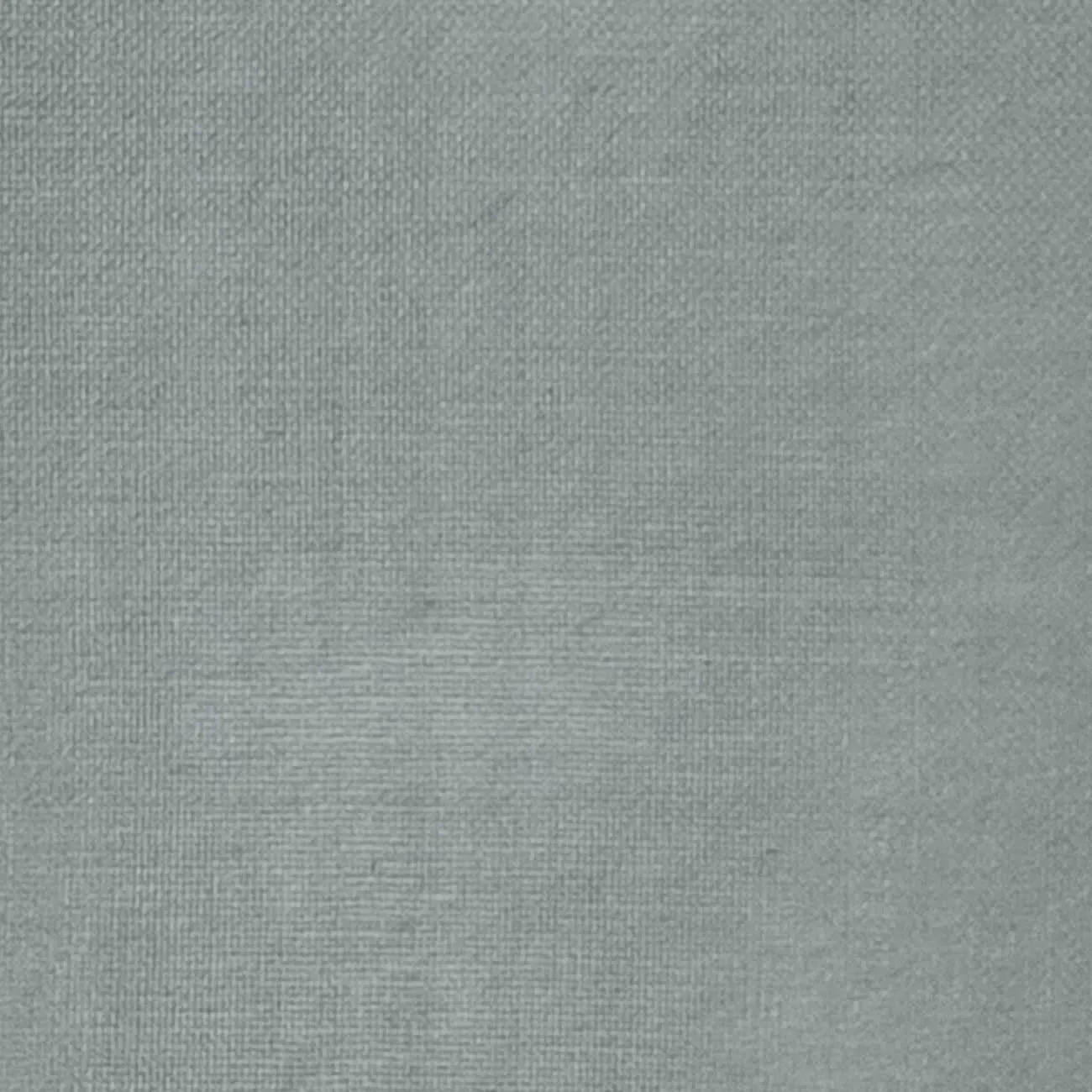 Silk Organza Woven - FAB1362