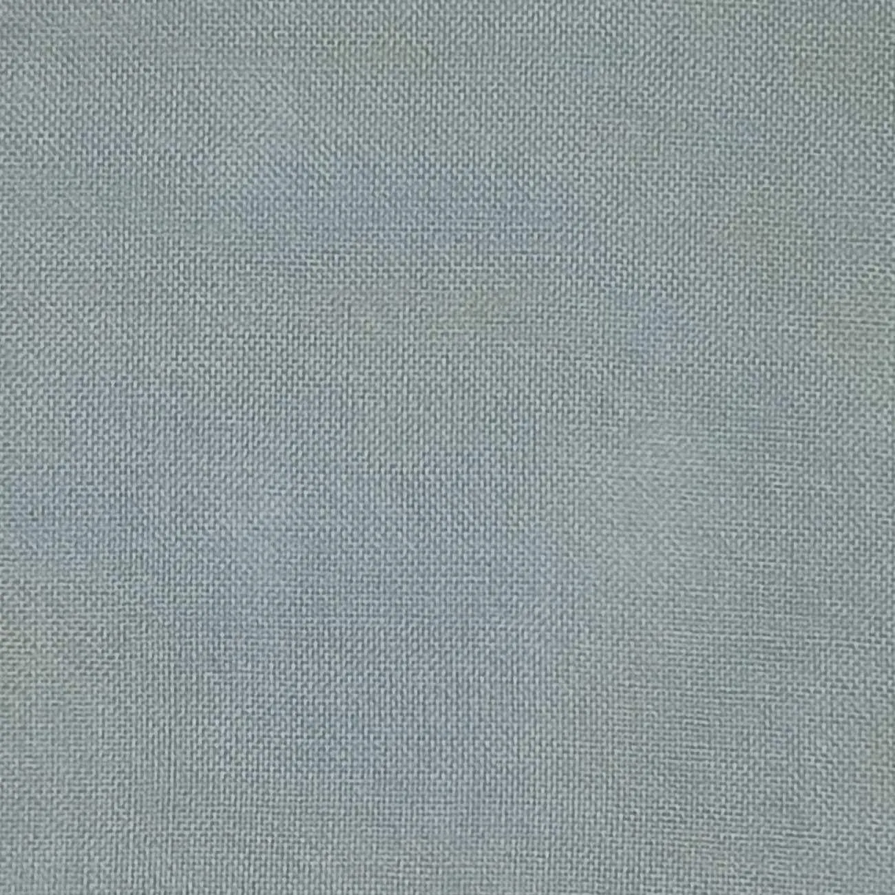 Silk Organza Woven - FAB1362