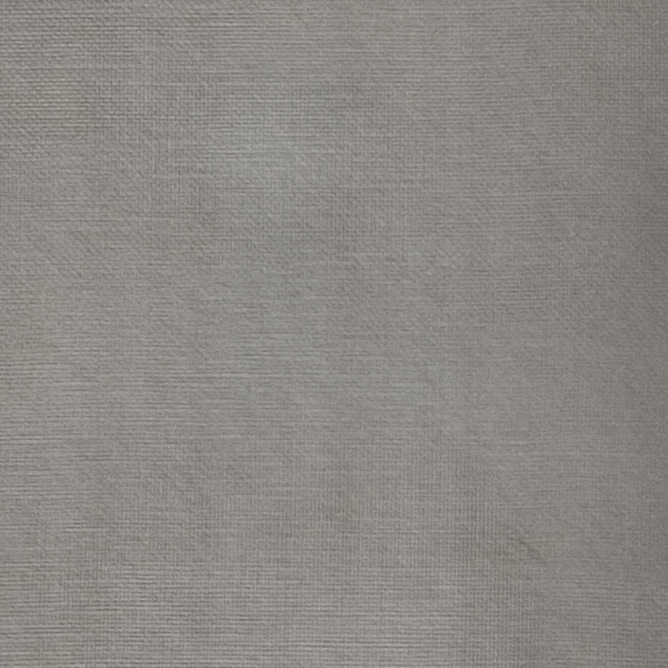 Silk Organza Woven - FAB1362
